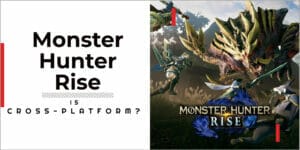 Is Monster Hunter Rise Cross-Platform
