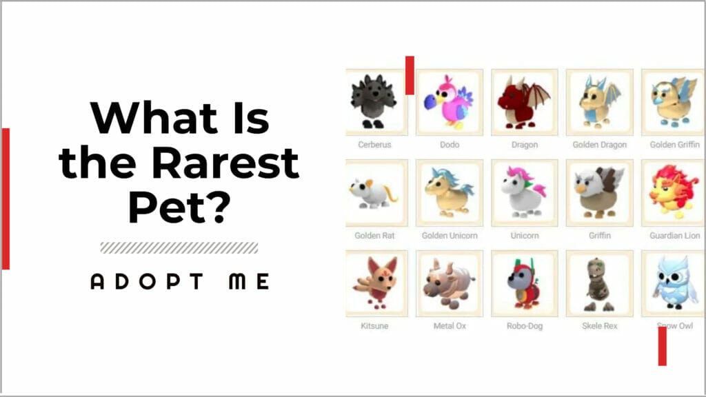 what is the rarest pet in adopt me