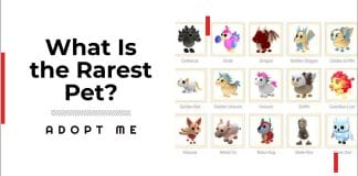 what is the rarest pet in adopt me