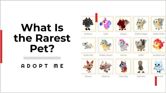 what is the rarest pet in adopt me
