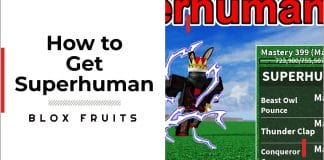 how to get superhuman in blox fruits