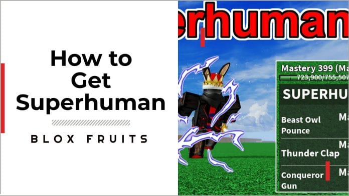 How to Get Superhuman in Blox Fruits