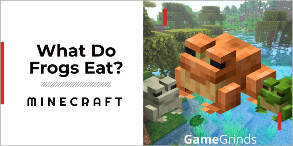 What Do Frogs Eat In Minecraft? 1 What Do Frogs Eat In Minecraft?