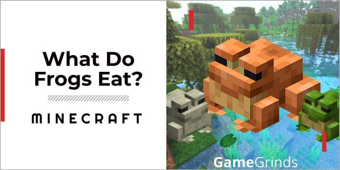 What Do Frogs Eat In Minecraft?