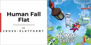 Is Human Fall Flat Cross-Platform