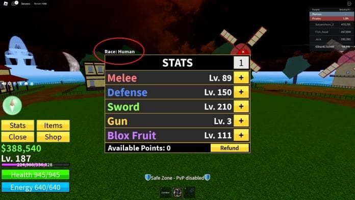 how to play Blox Fruits - stats