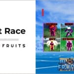 Best Race in Blox Fruits