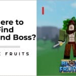 Where Is Diamond in Blox Fruits