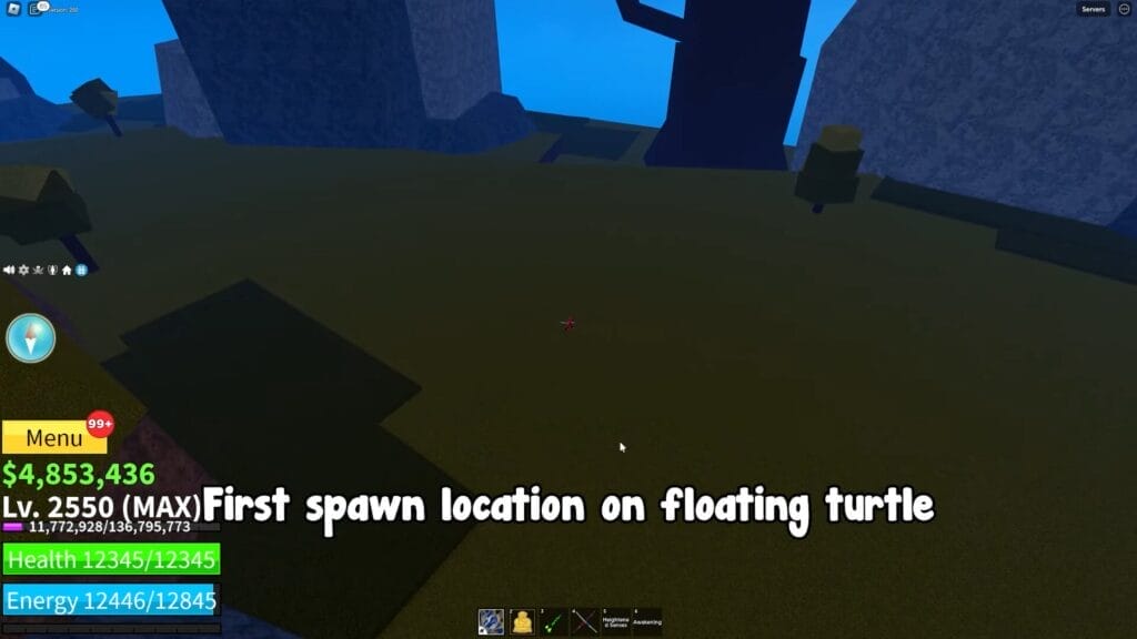 floating turtle elite pirate first spawn location